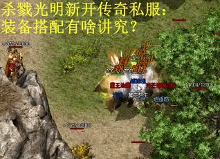 杀戮光明新开传奇私服：装备搭配有啥讲究？