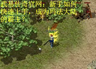 武易传奇官网：新手如何快速上手，成为玛法大陆的霸主？