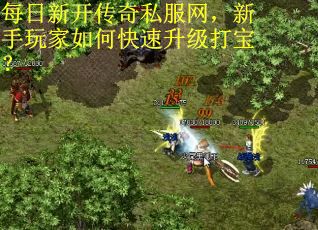每日新开传奇私服网，新手玩家如何快速升级打宝？