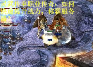 灵武传单职业传奇：如何快速提升战力，称霸服务器？