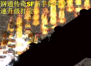 网通传奇SF新手如何快速升级打宝？