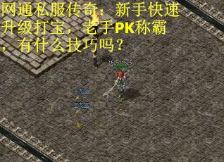 网通私服传奇：新手快速升级打宝，老手PK称霸，有什么技巧吗？