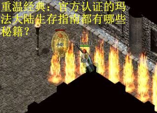 重温经典：官方认证的玛法大陆生存指南都有哪些秘籍？