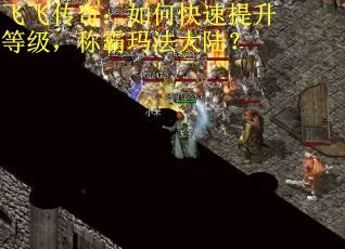 飞飞传奇：如何快速提升等级，称霸玛法大陆？