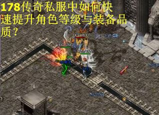 178传奇私服中如何快速提升角色等级与装备品质？