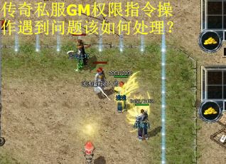 传奇私服GM权限指令操作遇到问题该如何处理？