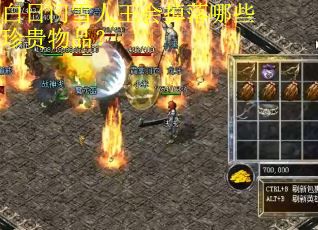 白日门雪人王会掉落哪些珍贵物品? 白日门雪人王会掉落哪些珍贵物品?