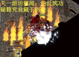 天一游坊秘闻：绝世武功秘籍究竟藏于何处？