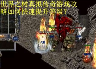 世界之树真拟传奇游戏攻略如何快速提升等级？