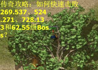 传奇攻略:如何快速击败269.537、524.271、728.133和62.55级Boss? 传奇攻略:如何快速击败269.537、524.271、728.133和62.55级Boss?