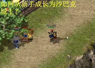 如何从新手成长为沙巴克城主? 如何从新手成长为沙巴克城主?