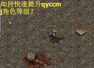 如何快速提升qyccmj角色等级? 如何快速提升qyccmj角色等级?