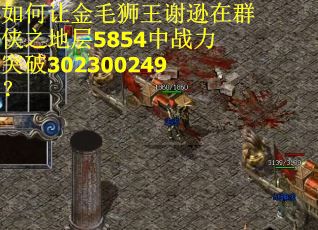 如何让金毛狮王谢逊在群侠之地层5854中战力突破302300249？