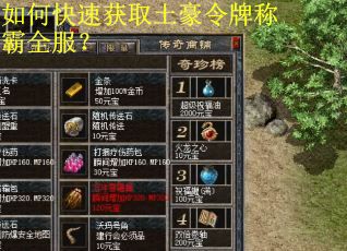 如何快速获取土豪令牌称霸全服？