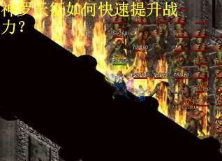 神罗天征如何快速提升战力？