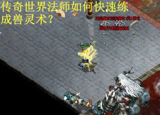 传奇世界法师如何快速练成兽灵术？