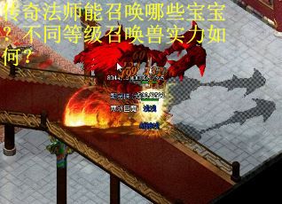 传奇法师能召唤哪些宝宝？不同等级召唤兽实力如何？