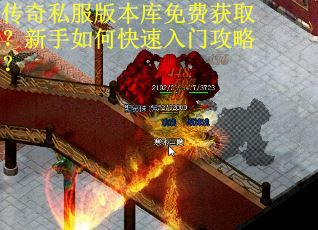 传奇私服版本库免费获取？新手如何快速入门攻略？